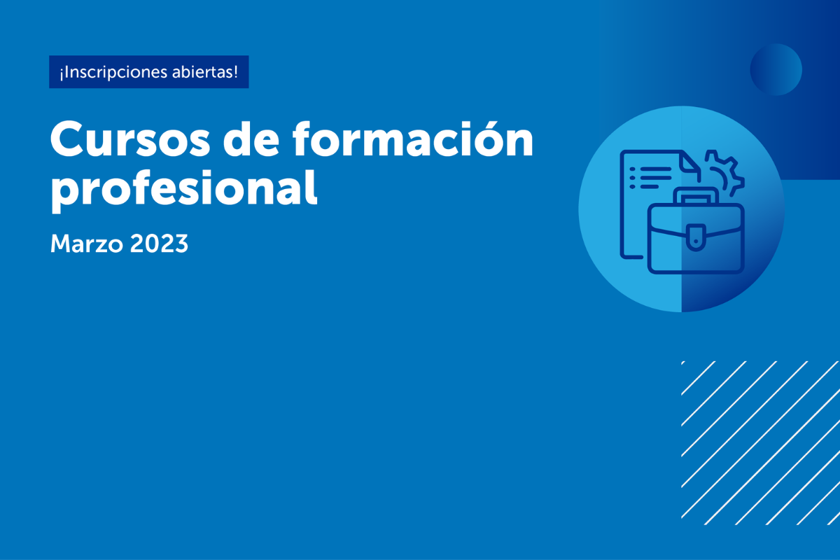 Formación profesional