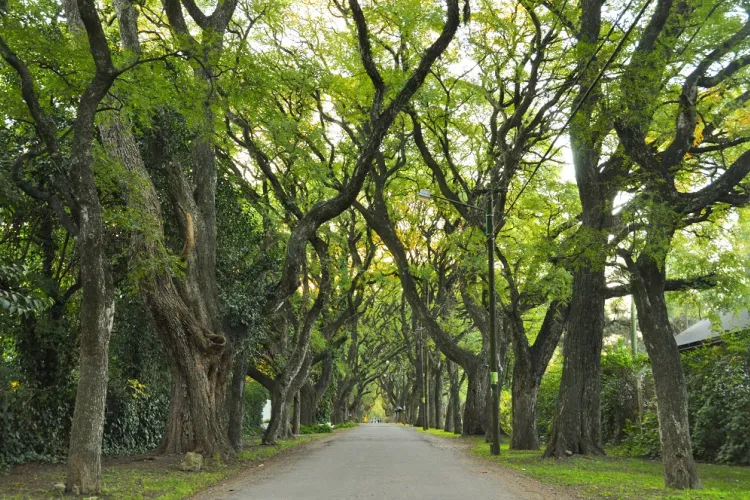 Parque Leloir